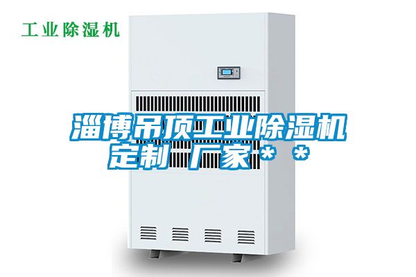 淄博吊顶工业除湿机定制 厂家＊＊