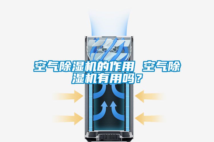 空气除湿机的作用 空气除湿机有用吗？