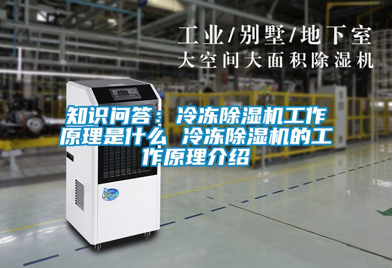 知识问答：冷冻除湿机工作原理是什么 冷冻除湿机的工作原理介绍