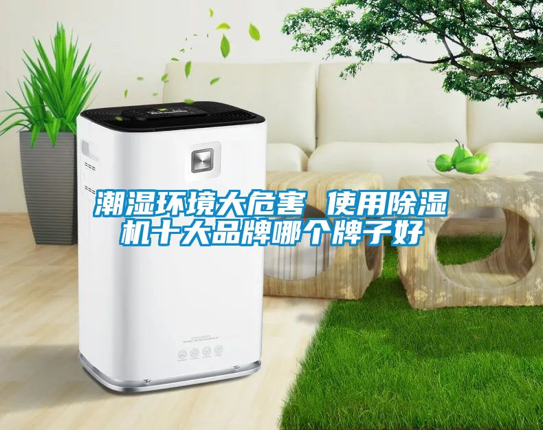 潮湿环境大危害 使用除湿机十大品牌哪个牌子好