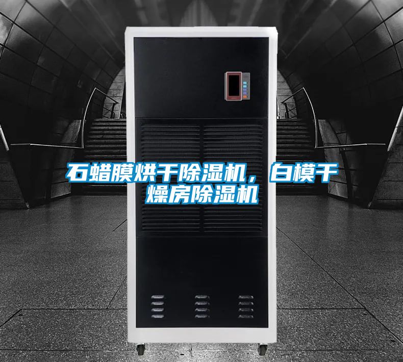 石蜡膜烘干除湿机，白模干燥房除湿机