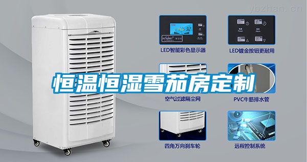 恒温恒湿雪茄房定制