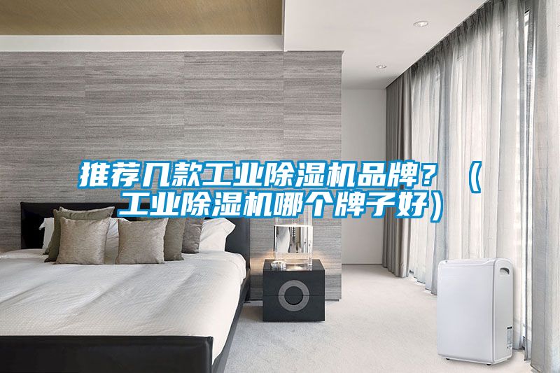 推荐几款工业除湿机品牌？（工业除湿机哪个牌子好）