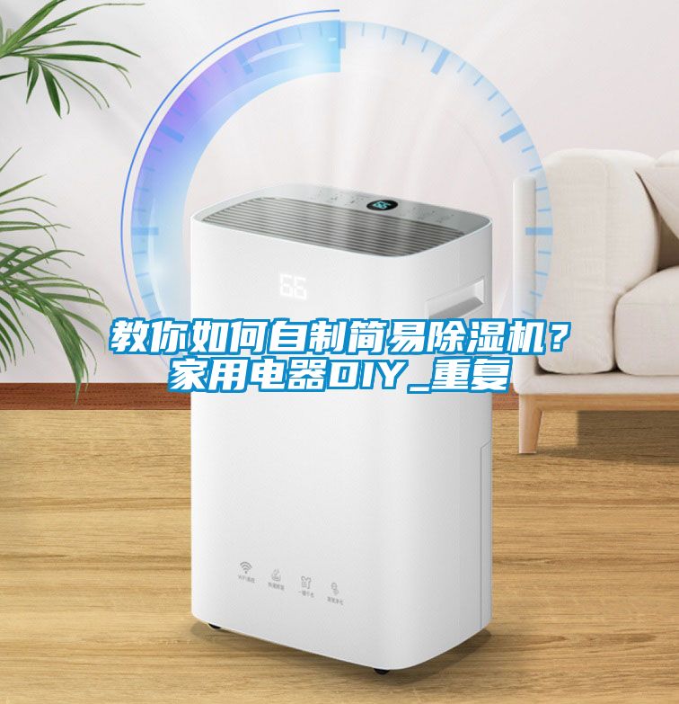 教你如何自制简易除湿机？家用电器DIY_重复