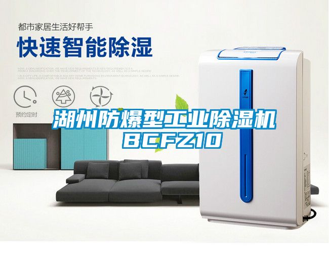 湖州防爆型工业除湿机 BCFZ10