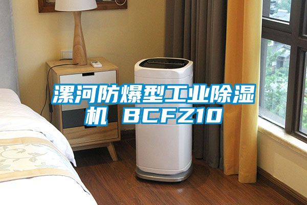 漯河防爆型工业除湿机 BCFZ10