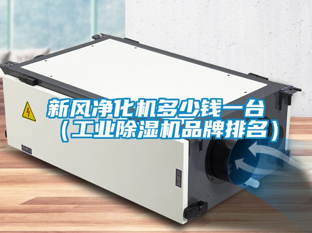新风净化机多少钱一台（工业除湿机品牌排名）