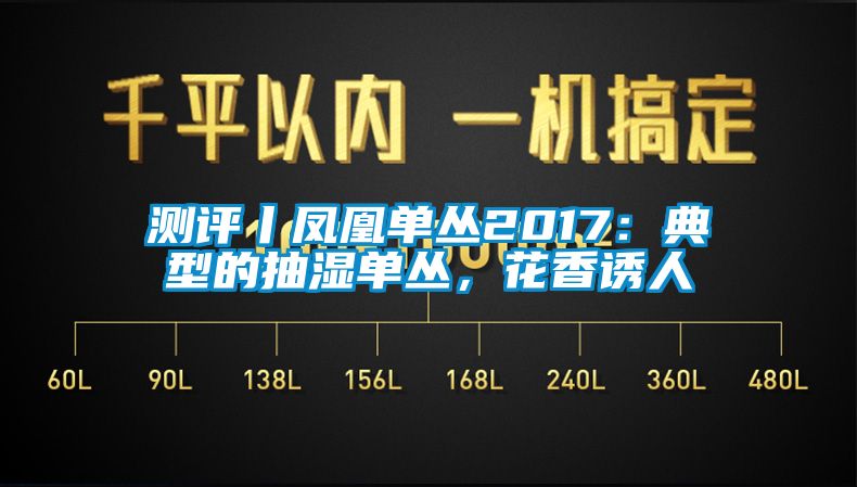 测评丨凤凰单丛2017：典型的抽湿单丛，花香诱人