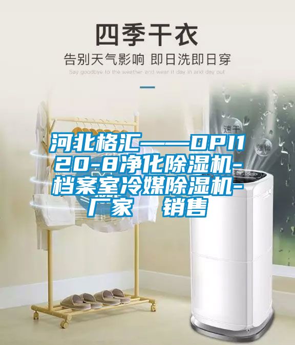 河北格汇——DPI120-8净化除湿机-档案室冷媒除湿机-厂家  销售