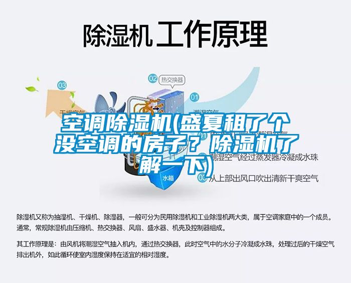 空调除湿机(盛夏租了个没空调的房子？除湿机了解一下)