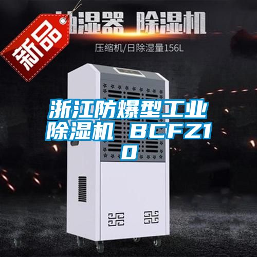 浙江防爆型工业除湿机 BCFZ10