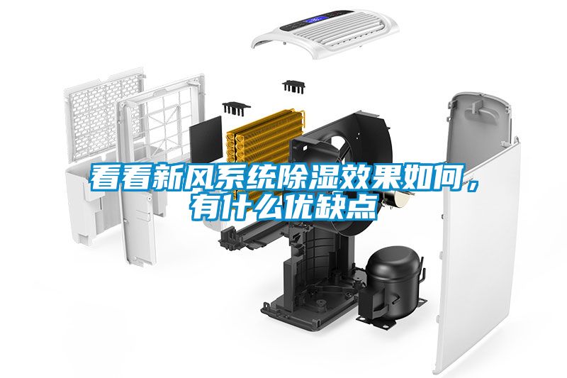 看看新风系统除湿效果如何，有什么优缺点