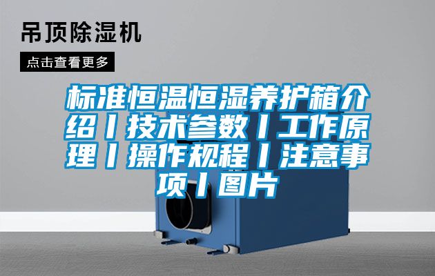 标准恒温恒湿养护箱介绍丨技术参数丨工作原理丨操作规程丨注意事项丨图片