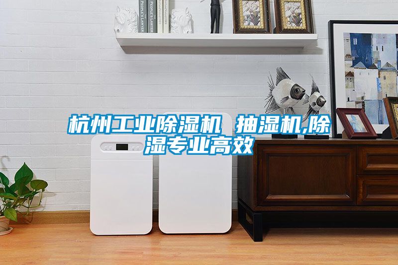 杭州工业除湿机 抽湿机,除湿专业高效