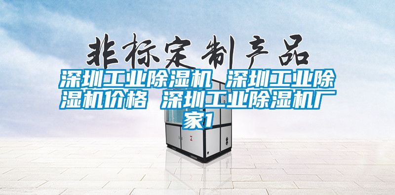 深圳工业除湿机 深圳工业除湿机价格 深圳工业除湿机厂家1