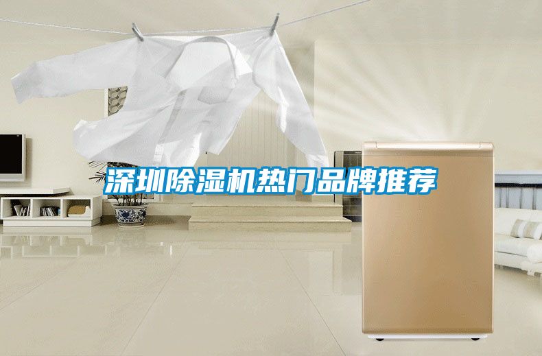 深圳除湿机热门品牌推荐