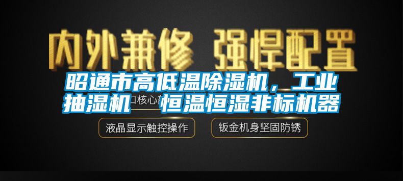 昭通市高低温除湿机，工业抽湿机  恒温恒湿非标机器