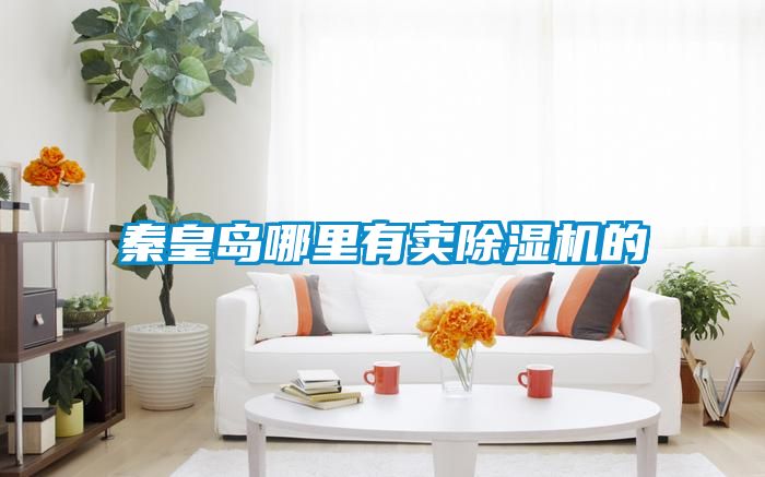 秦皇岛哪里有卖除湿机的
