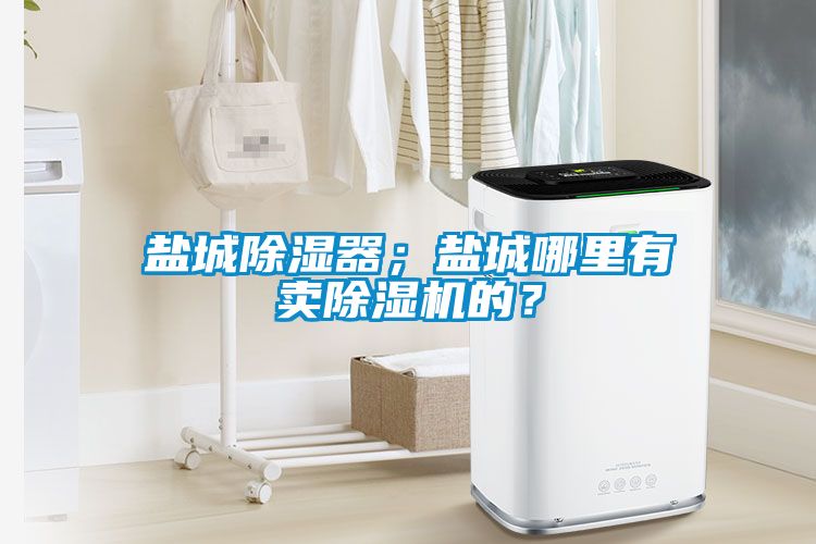 盐城除湿器；盐城哪里有卖除湿机的？