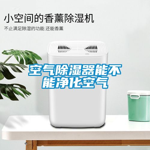 空气除湿器能不能净化空气