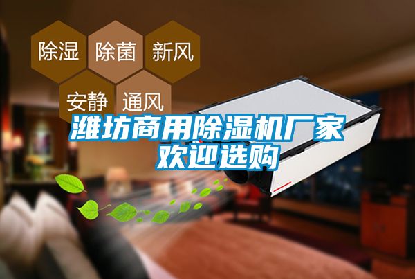 潍坊商用除湿机厂家 欢迎选购
