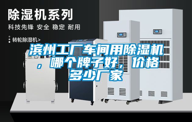 滨州工厂车间用除湿机，哪个牌子好，价格多少厂家