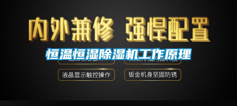 恒温恒湿除湿机工作原理