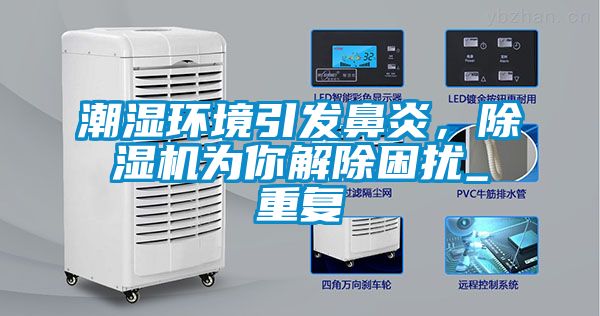 潮湿环境引发鼻炎，除湿机为你解除困扰_重复