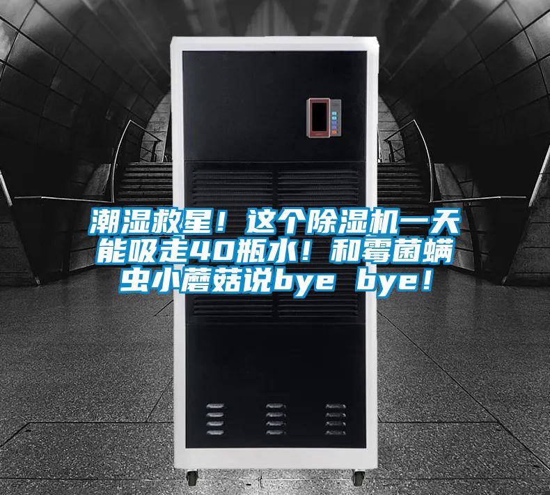 潮湿救星！这个除湿机一天能吸走40瓶水！和霉菌螨虫小蘑菇说bye bye！