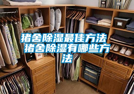 猪舍除湿最佳方法 猪舍除湿有哪些方法