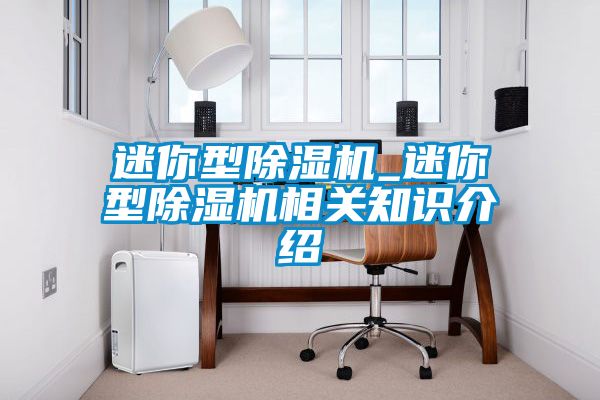 迷你型除湿机_迷你型除湿机相关知识介绍