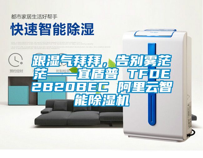 跟湿气拜拜，告别雾茫茫——宜盾普 TFDE2B20BEC 阿里云智能除湿机