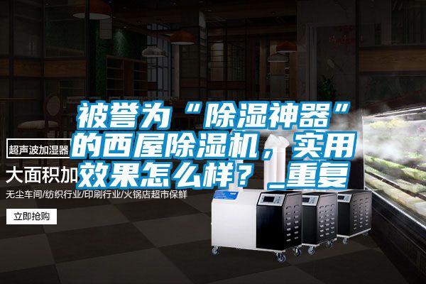 被誉为“除湿神器”的西屋除湿机，实用效果怎么样？_重复