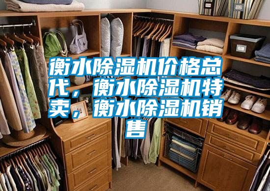 衡水除湿机价格总代，衡水除湿机特卖，衡水除湿机销售