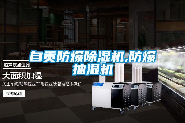 自贡防爆除湿机,防爆抽湿机
