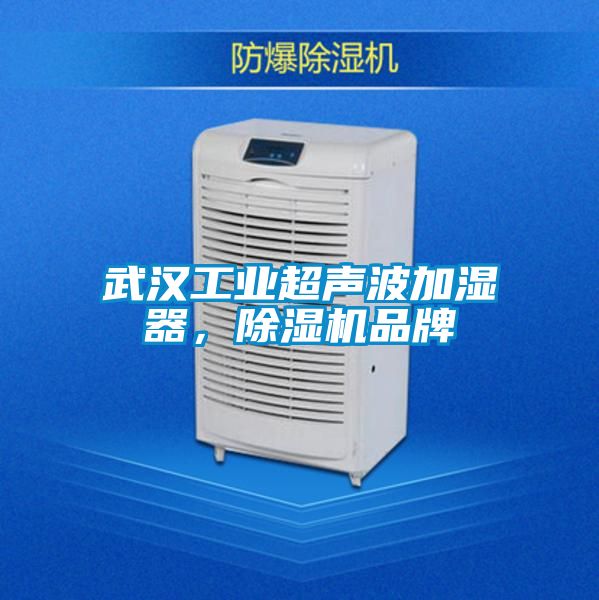 武汉工业超声波加湿器，除湿机品牌