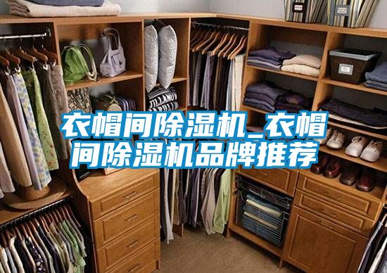 衣帽间除湿机_衣帽间除湿机品牌推荐