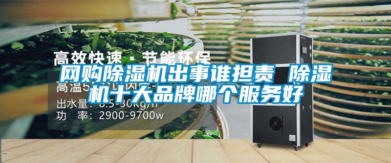 网购除湿机出事谁担责 除湿机十大品牌哪个服务好