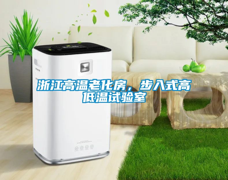 浙江高温老化房，步入式高低温试验室