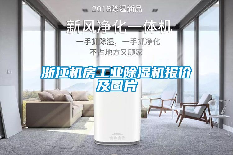 浙江机房工业除湿机报价及图片