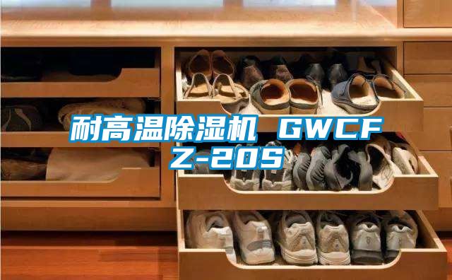 耐高温除湿机 GWCFZ-20S