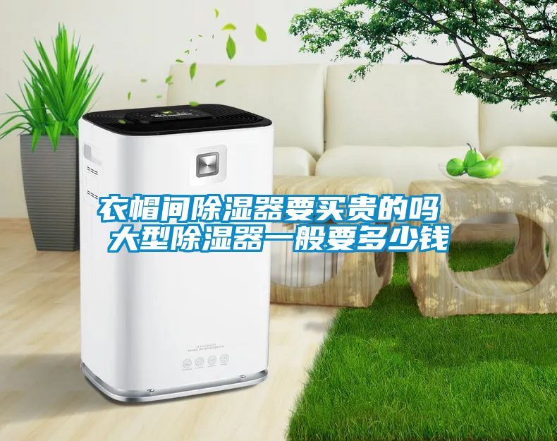 衣帽间除湿器要买贵的吗 大型除湿器一般要多少钱