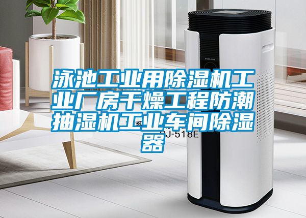 泳池工业用除湿机工业厂房干燥工程防潮抽湿机工业车间除湿器