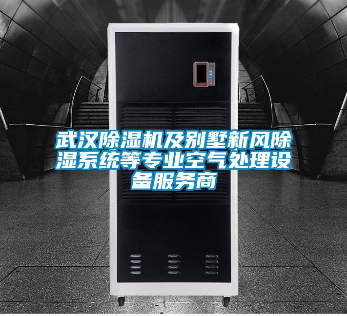 武汉除湿机及别墅新风除湿系统等专业空气处理设备服务商