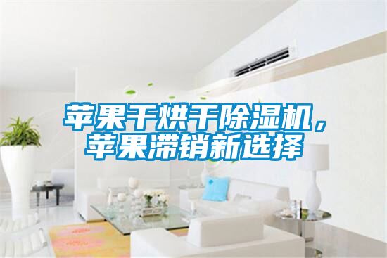 苹果干烘干除湿机，苹果滞销新选择