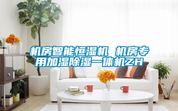 机房智能恒湿机 机房专用加湿除湿一体机ZH