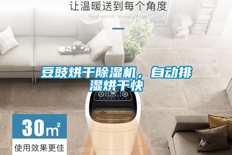 豆豉烘干除湿机，自动排湿烘干快