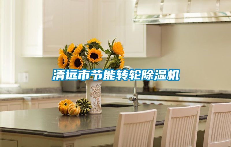 清远市节能转轮除湿机
