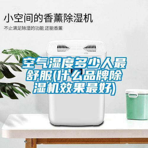 空气湿度多少人最舒服(什么品牌除湿机效果最好)