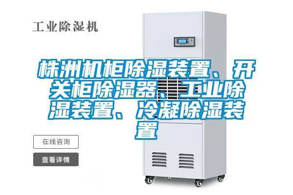 株洲机柜除湿装置、开关柜除湿器、工业除湿装置、冷凝除湿装置